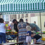 Obchody Nocy Świętojańskiej w Słupi Jędrzejowskiej / Ewa Pociejowska-Gawęda / Radio Kielce