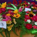 Obchody Nocy Świętojańskiej w Słupi Jędrzejowskiej / Ewa Pociejowska-Gawęda / Radio Kielce