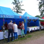 Obchody Nocy Świętojańskiej w Słupi Jędrzejowskiej / Ewa Pociejowska-Gawęda / Radio Kielce