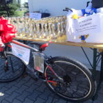 VII Bieg po Zdrowie / Ewa Pociejowska-Gawęda / Radio Kielce