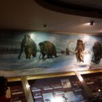 „Nocny Raj”. Nocne zwiedzanie Jaskini Raj / Michał Kita / Radio Kielce