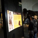 „Nocny Raj”. Nocne zwiedzanie Jaskini Raj / Michał Kita / Radio Kielce