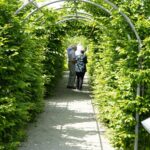 Ogród Botaniczny - Geopark Kielce / Piotr Kwaśniewski / Radio Kielce