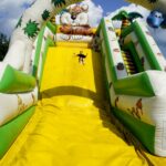 XXI Dzień Świętokrzyskiej Truskawki / Piotr Kwaśniewski / Radio Kielce