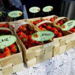 XXI Dzień Świętokrzyskiej Truskawki / Piotr Kwaśniewski / Radio Kielce