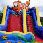 XXI Dzień Świętokrzyskiej Truskawki / Piotr Kwaśniewski / Radio Kielce