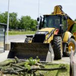 Wycinka drzew przy ul. Orkana w Kielcach / Piotr Kwaśniewski / Radio Kielce