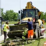 Wycinka drzew przy ul. Orkana w Kielcach / Piotr Kwaśniewski / Radio Kielce