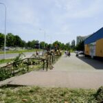 Wycinka drzew przy ul. Orkana w Kielcach / Piotr Kwaśniewski / Radio Kielce