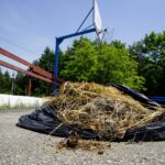 Przygotowania do otwarcia Zespołu Obiektów Sportowych przy ul. Szczecińskiej / Piotr Kwaśniewski / Radio Kielce