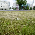 Czas na wiosenne porządki. Kielce, ulica Warszawska / Piotr Kwaśniewski / Radio Kielce