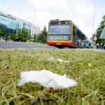 Czas na wiosenne porządki. Kielce, ulica Warszawska / Piotr Kwaśniewski / Radio Kielce