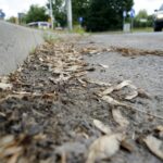 Czas na wiosenne porządki. Kielce, ulica Polna / Piotr Kwaśniewski / Radio Kielce