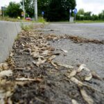 Czas na wiosenne porządki. Kielce, ulica Polna / Piotr Kwaśniewski / Radio Kielce