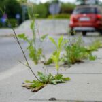 Czas na wiosenne porządki. Kielce, ulica Radiowa / Piotr Kwaśniewski / Radio Kielce