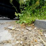 Czas na wiosenne porządki. Kielce, ulica Zagórska / Piotr Kwaśniewski / Radio Kielce