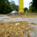 Czas na wiosenne porządki. Kielce, ulica Zagórska / Piotr Kwaśniewski / Radio Kielce