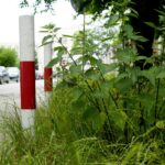 Czas na wiosenne porządki. Kielce, ulica Spółdzielcza / Piotr Kwaśniewski / Radio Kielce