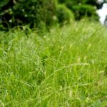 Czas na wiosenne porządki. Kielce, ulica Spółdzielcza / Piotr Kwaśniewski / Radio Kielce