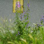 Czas na wiosenne porządki. Kielce, ulica Spółdzielcza / Piotr Kwaśniewski / Radio Kielce