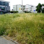 Czas na wiosenne porządki. Kielce, ulica Spółdzielcza / Piotr Kwaśniewski / Radio Kielce