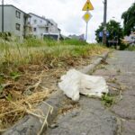 Czas na wiosenne porządki. Kielce, ulica Szczecińska / Piotr Kwaśniewski / Radio Kielce