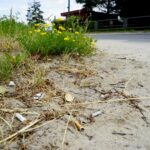 Czas na wiosenne porządki. Kielce, ulica Jana Nowaka-Jeziorańskiego / Piotr Kwaśniewski / Radio Kielce