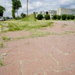 Czas na wiosenne porządki. Kielce, aleja Tysiąclecia Państwa Polskiego / Piotr Kwaśniewski / Radio Kielce