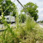 Czas na wiosenne porządki. Kielce, aleja Tysiąclecia Państwa Polskiego / Piotr Kwaśniewski / Radio Kielce