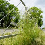 Czas na wiosenne porządki. Kielce, aleja Tysiąclecia Państwa Polskiego / Piotr Kwaśniewski / Radio Kielce