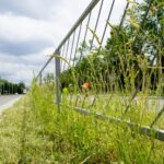 Czas na wiosenne porządki. Kielce, aleja Tysiąclecia Państwa Polskiego / Piotr Kwaśniewski / Radio Kielce