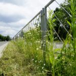 Czas na wiosenne porządki. Kielce, aleja Tysiąclecia Państwa Polskiego / Piotr Kwaśniewski / Radio Kielce