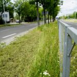 Czas na wiosenne porządki. Kielce, aleja Tysiąclecia Państwa Polskiego / Piotr Kwaśniewski / Radio Kielce