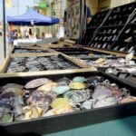 Jarmark Świętokrzyski / Piotr Kwaśniewski / Radio Kielce