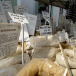 Jarmark Świętokrzyski / Piotr Kwaśniewski / Radio Kielce