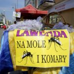 Jarmark Świętokrzyski / Piotr Kwaśniewski / Radio Kielce