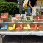 Jarmark Świętokrzyski / Piotr Kwaśniewski / Radio Kielce