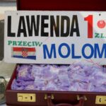 Jarmark Świętokrzyski / Piotr Kwaśniewski / Radio Kielce