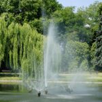 Kielce, Park Miejski im. Stanisława Staszica / Piotr Kwaśniewski / Radio Kielce