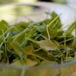 Śniadanie w ogrodzie / Piotr Kwaśniewski / Radio Kielce