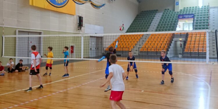 Eliminacje siatkarskiego turnieju dla uczniów szkół podstawowych Świętokrzyskie Mini Volley Cup 2019 / Jakub Rożek / Radio Kielce