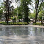 Fontanna w Rynku / Marta Gajda / Radio Kielce