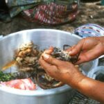 Gwatemala / Dominika Zaręba