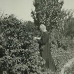 Ks. Witold Stolarczyk / Archiwum rodziny Stolarczyków