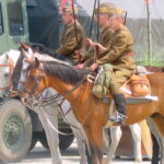Pierwsze święto patronalne Świętokrzyskiej Brygady WOT / Anna Głąb / Radio Kielce