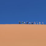 Pustynia Namib / Małgorzata Anna Jóźwiak i Marek Jóźwiak