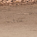 Pustynia Namib / Małgorzata Anna Jóźwiak i Marek Jóźwiak