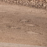 Pustynia Namib / Małgorzata Anna Jóźwiak i Marek Jóźwiak