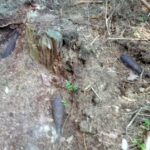 Pociski znalezione między miejscowościami Rędocin, a Mroczków / KPP Skarżysko-Kamienna