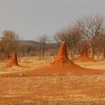 Pustynia Namib / Małgorzata Anna Jóźwiak i Marek Jóźwiak